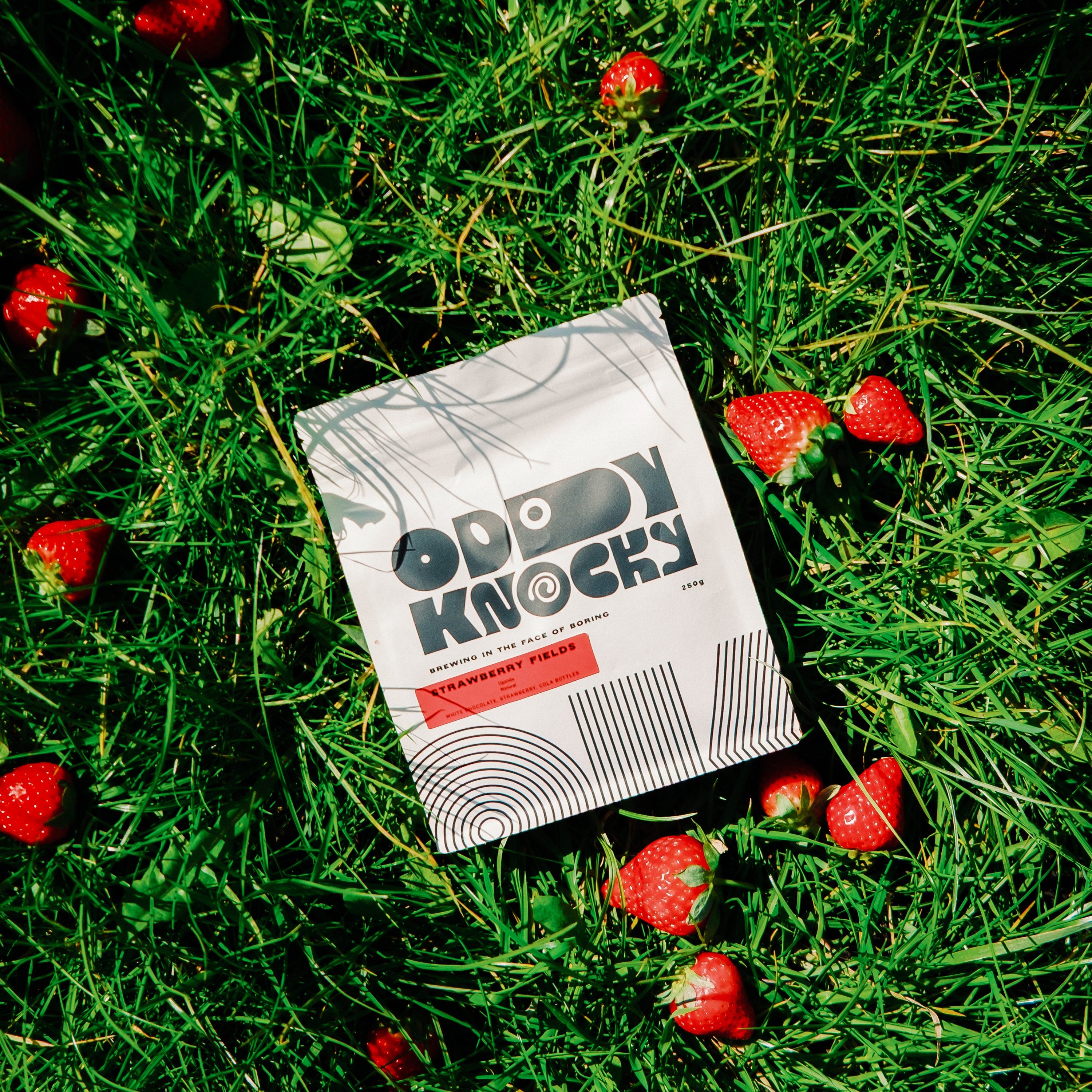 Strawberry Fields coffee packaging on green grass with fresh strawberries around it.