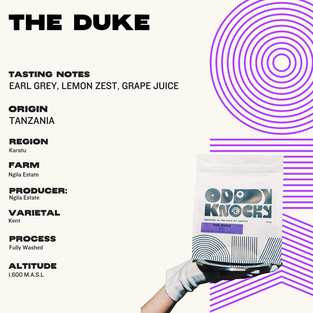 The Duke Tanzania coffee packaging featuring tasting notes of Earl Grey, lemon zest, and grape juice.